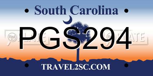 PGS294 South Carolina License Plate