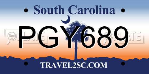 PGY689 South Carolina License Plate