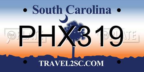 PHX319 South Carolina License Plate