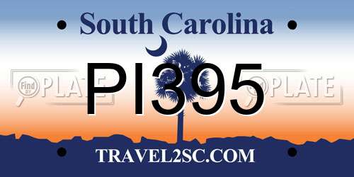 PI395 South Carolina License Plate