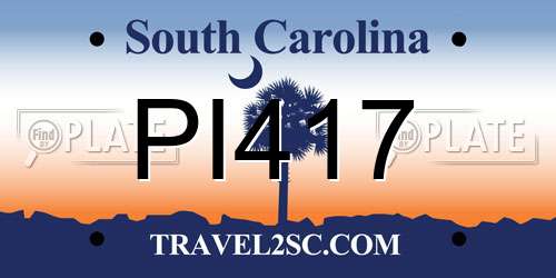 PI417 South Carolina License Plate