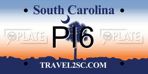PI6 South Carolina License Plate