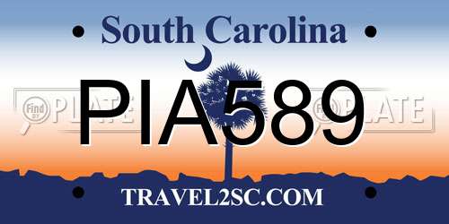 PIA589 South Carolina License Plate