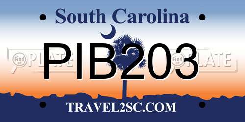 PIB203 South Carolina License Plate