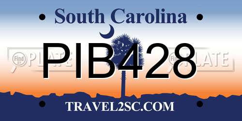 PIB428 South Carolina License Plate