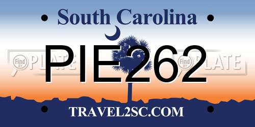 PIE262 South Carolina License Plate