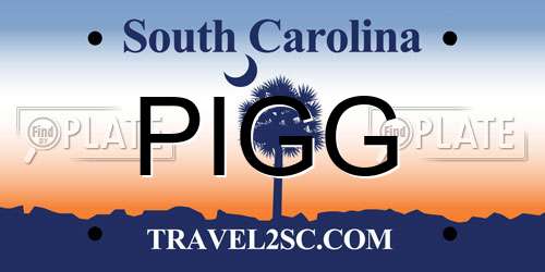 PIGG South Carolina License Plate