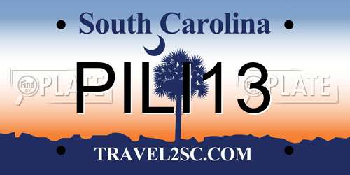 PILI13 South Carolina License Plate