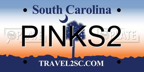 PINKS2 South Carolina License Plate