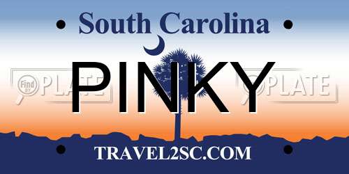 PINKY South Carolina License Plate