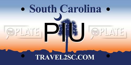 PIU South Carolina License Plate