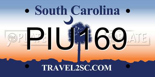 PIU169 South Carolina License Plate