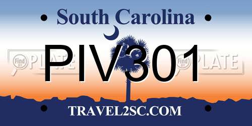 PIV301 South Carolina License Plate