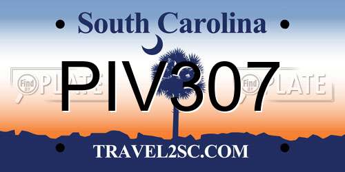PIV307 South Carolina License Plate