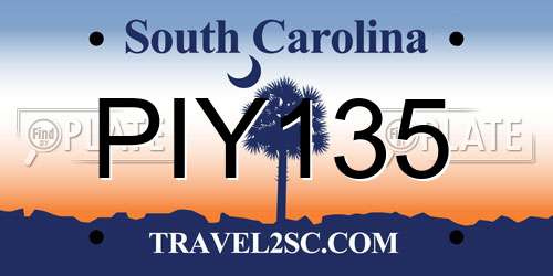 PIY135 South Carolina License Plate