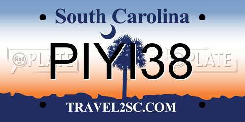 PIYI38 South Carolina License Plate