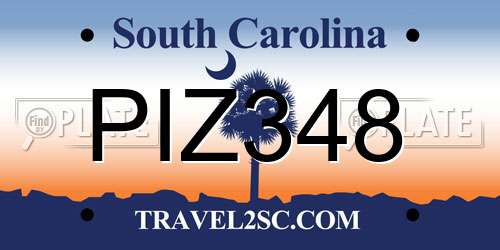 PIZ348 South Carolina License Plate