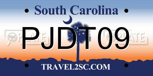 PJDT09 South Carolina License Plate