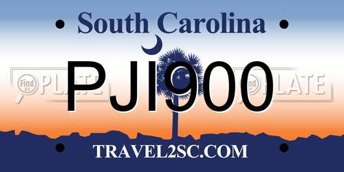 PJI900 South Carolina License Plate