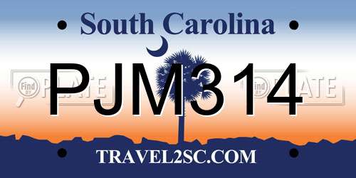 PJM314 South Carolina License Plate