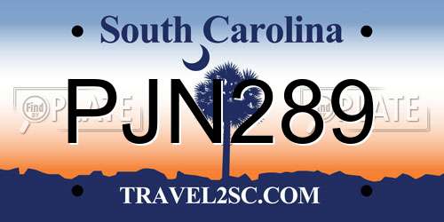 PJN289 South Carolina License Plate