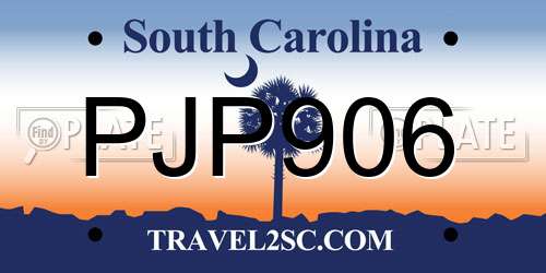 PJP906 South Carolina License Plate