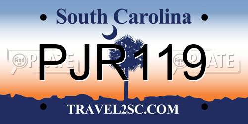 PJR119 South Carolina License Plate