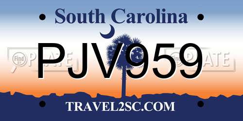 PJV959 South Carolina License Plate