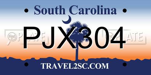 PJX304 South Carolina License Plate
