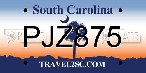 PJZ875 South Carolina License Plate