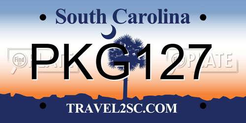 PKG127 South Carolina License Plate