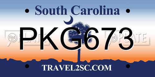 PKG673 South Carolina License Plate