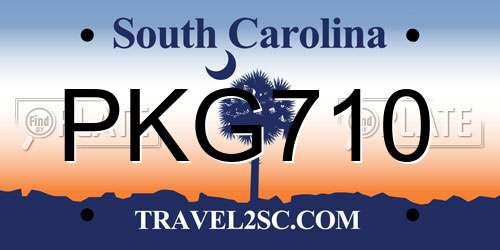 PKG710 South Carolina License Plate