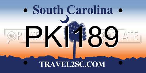 PKI189 South Carolina License Plate
