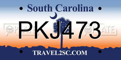 PKJ473 South Carolina License Plate