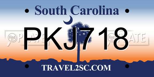 PKJ718 South Carolina License Plate