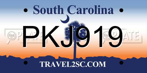 PKJ919 South Carolina License Plate
