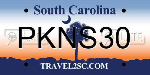 PKNS30 South Carolina License Plate