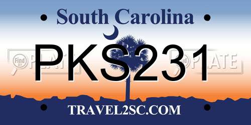 PKS231 South Carolina License Plate