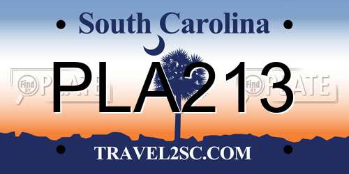 PLA213 South Carolina License Plate