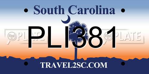 PLI381 South Carolina License Plate