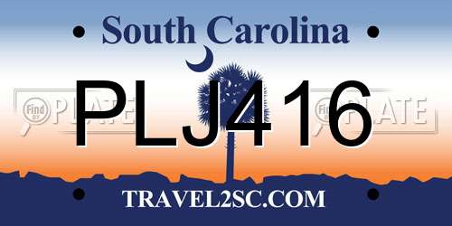 PLJ416 South Carolina License Plate