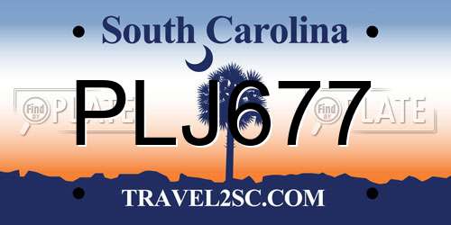 PLJ677 South Carolina License Plate