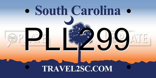PLL299 South Carolina License Plate