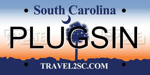 PLUGSIN South Carolina License Plate
