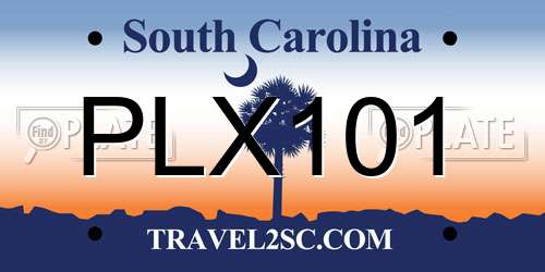 PLX101 South Carolina License Plate