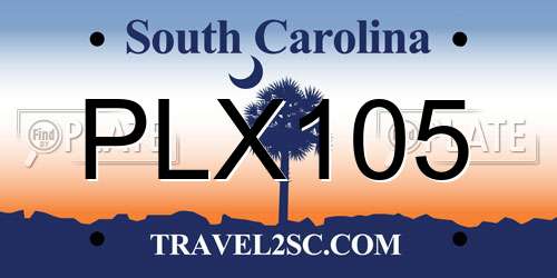 PLX105 South Carolina License Plate