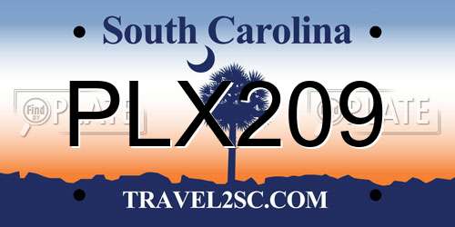 PLX209 South Carolina License Plate