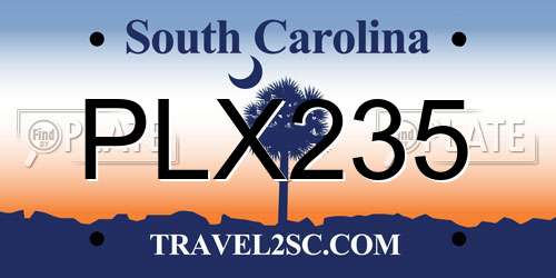 PLX235 South Carolina License Plate