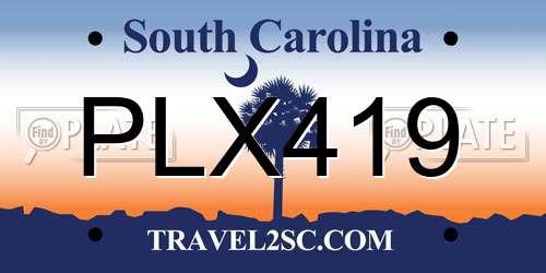 PLX419 South Carolina License Plate